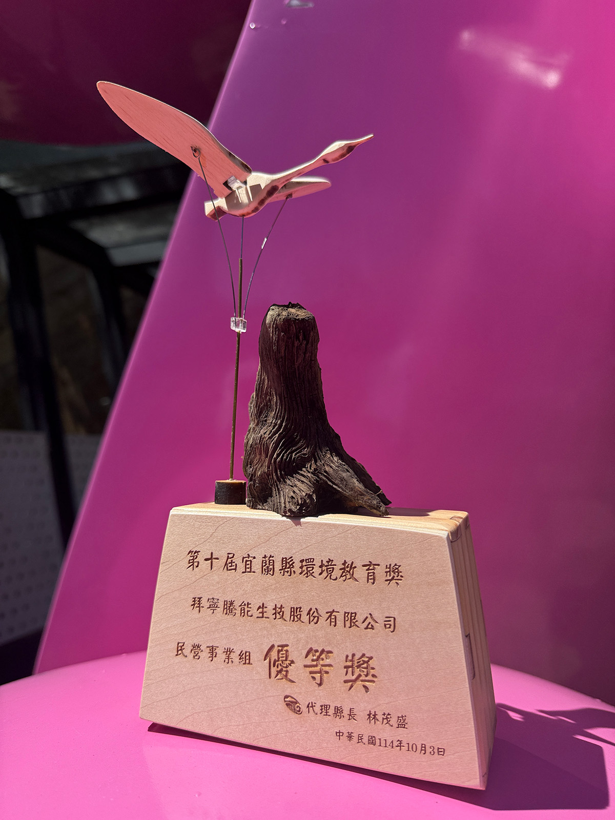 菌寶貝博物館全體同仁齊心齊力成果展示05